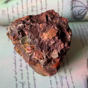 Beautiful piece of Petrified Redwood tree mineral stone display specimen
